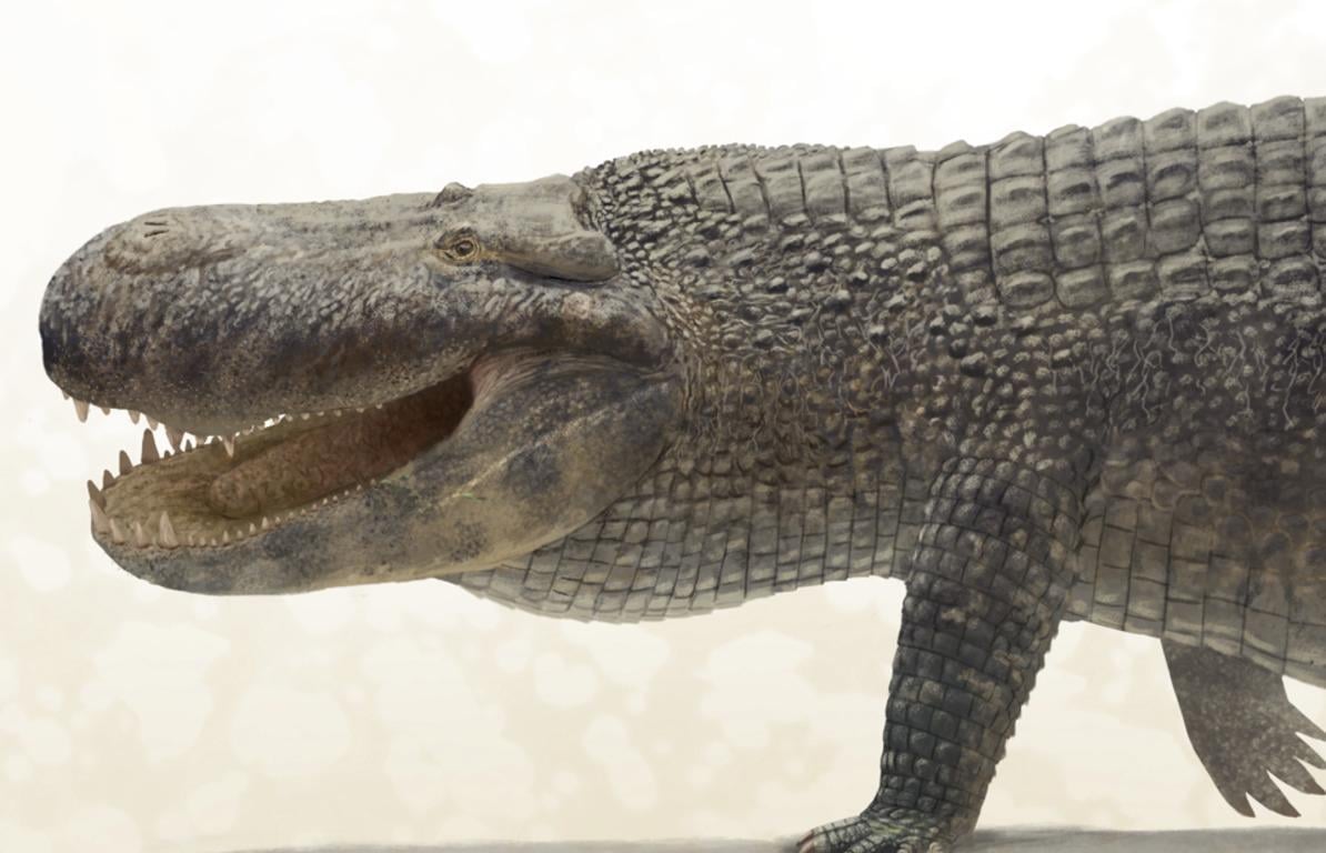 Учені назвали тварину з найсильнішим укусом в історії, і це не динозавр