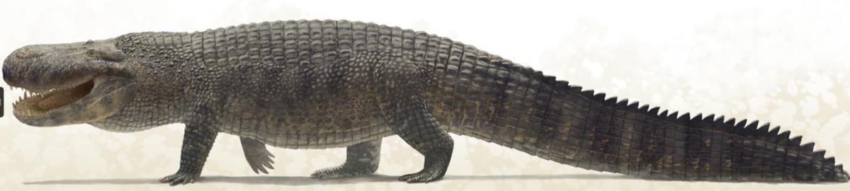 Учені назвали тварину з найсильнішим укусом в історії, і це не динозавр