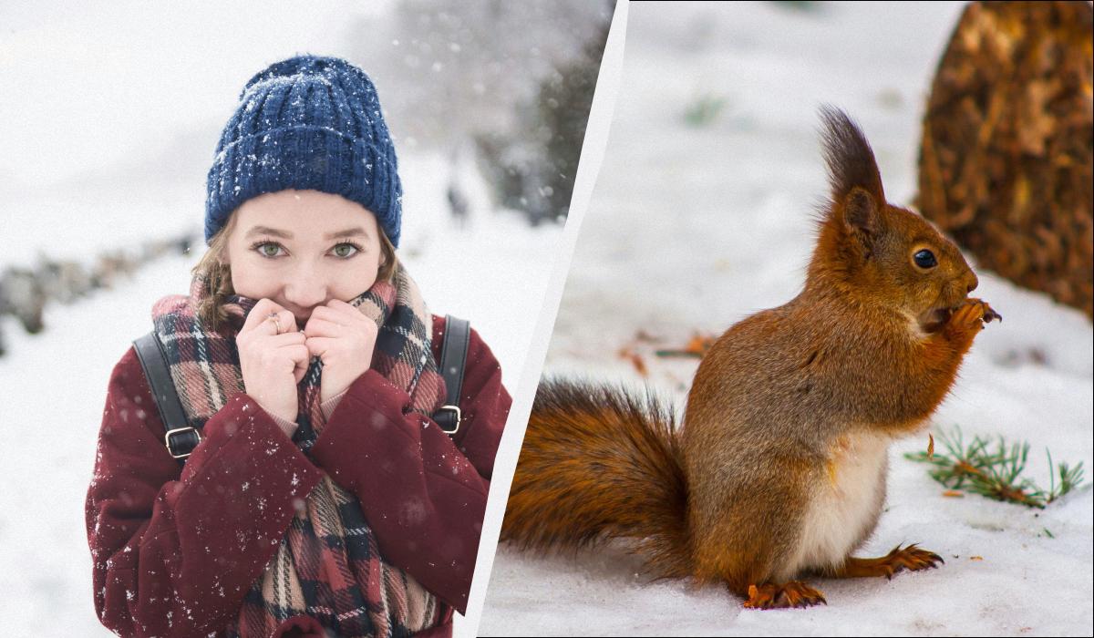 какой сегодня праздник