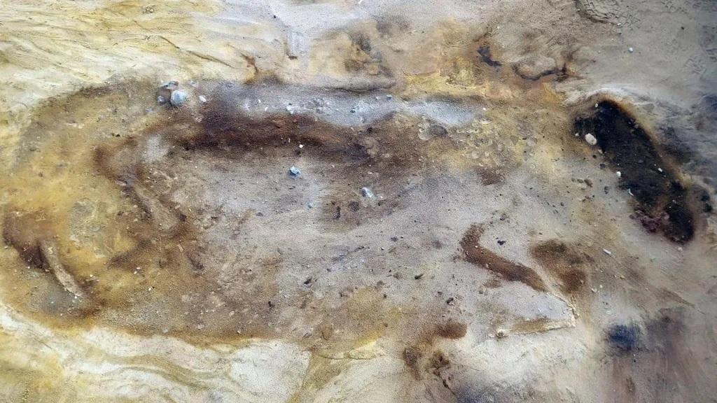 Археологи нашли 'княжескую' могилу коня, похороненного рядом с двумя людьми