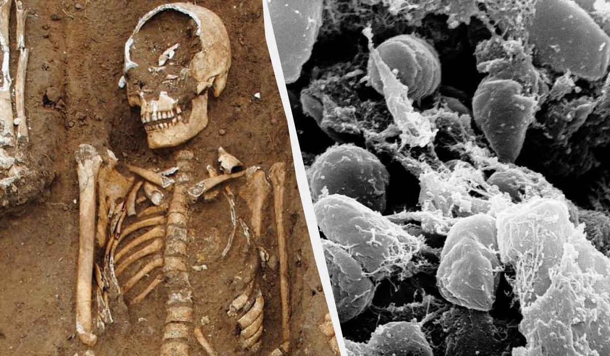 У Німеччині виявили середньовічну братську могилу з жертвами Чорної смерті