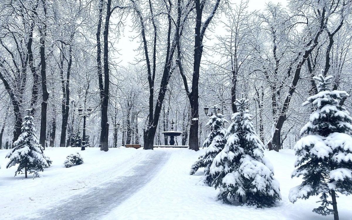 Kiev: temperatura più bassa prevista per il 31 gennaio