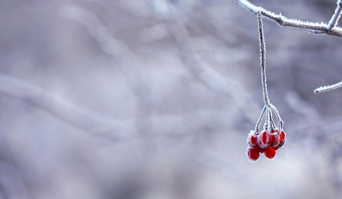 Приметы на сегодня Приметы на сегодня