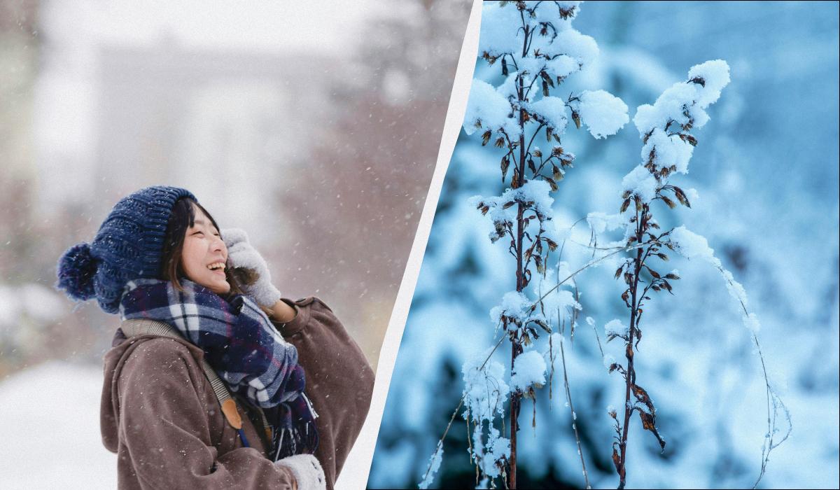 яке сьогодні свято