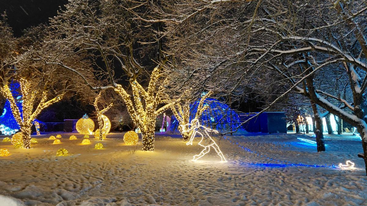 Parco di VDNH: oltre 200 luci illuminano lo spazio nevoso