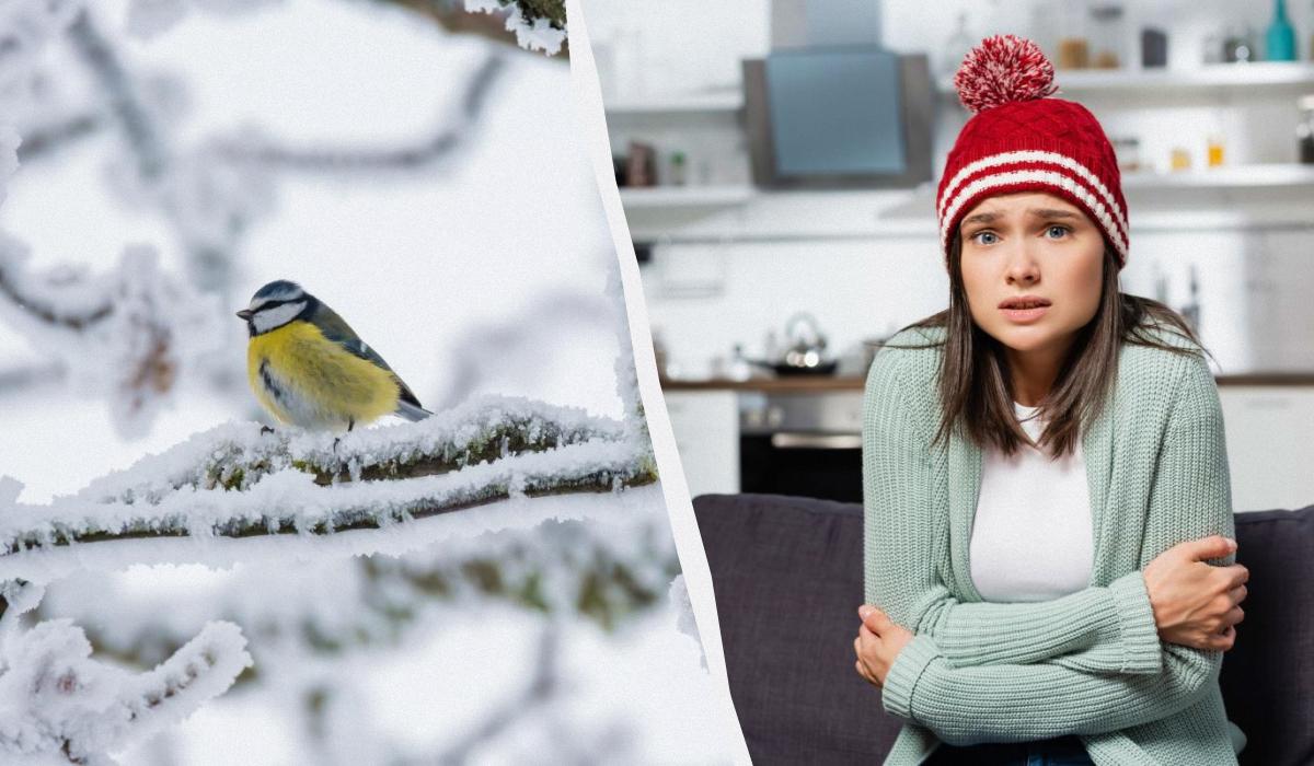 Морози в Україні посиляться до -25° й можуть тривати аж до лютого, - синоптик