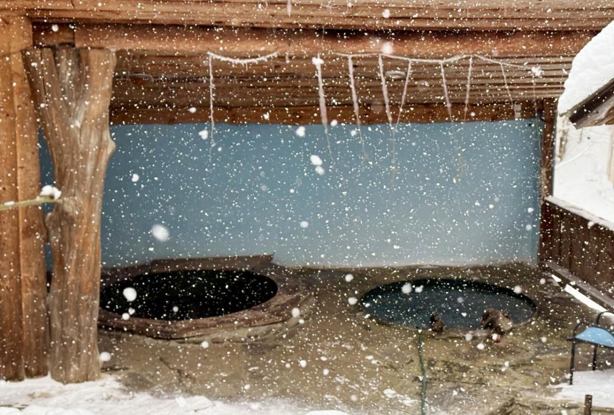 Не Буковелем єдиним: чим туристів приваблює гірськолижний курорт Красія