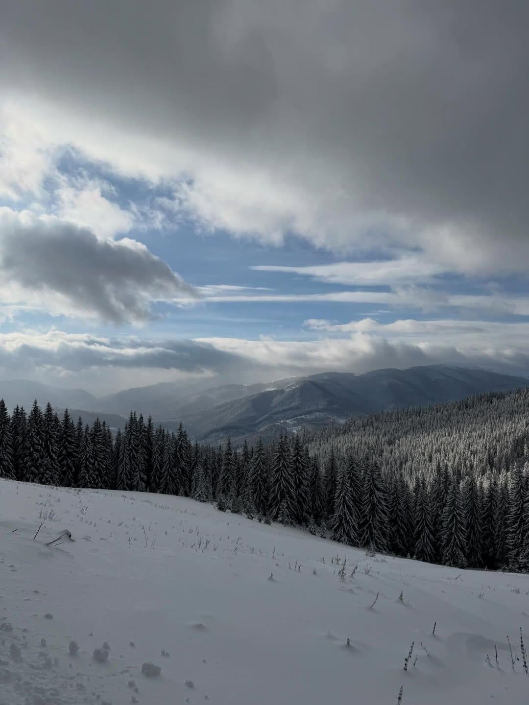Леся Никитюк впервые за долгое время показалась с женихом-воином: редкие фото