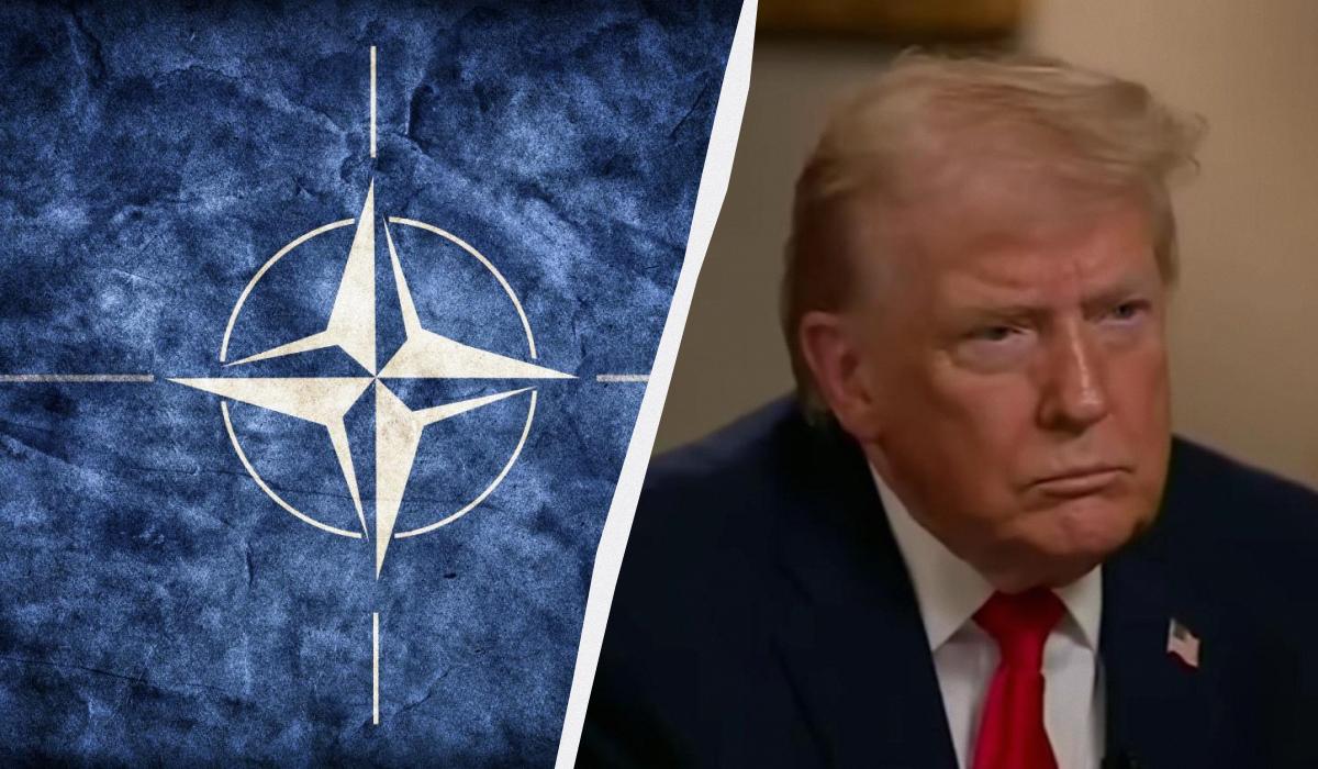 'Подрывают отношения': восемь стран НАТО раскритиковали тарифный шантаж Трампа
