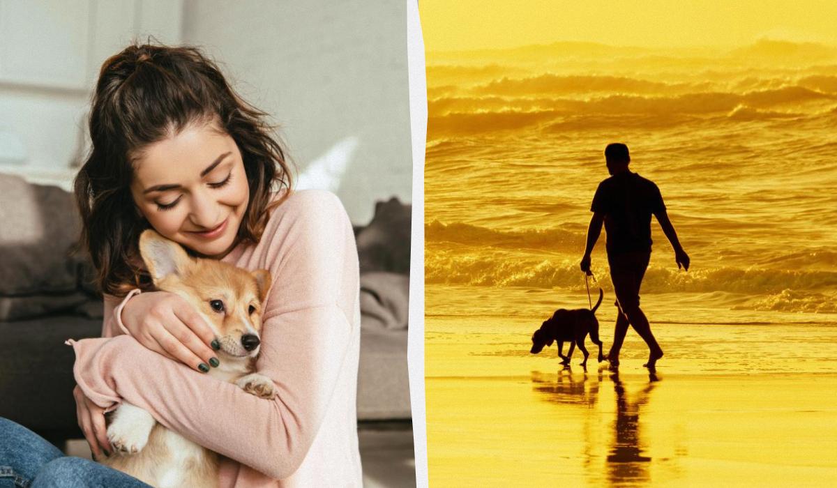 Не только собаки 'лучшие друзья человека': ученые узнали, кто еще понимает людей без слов