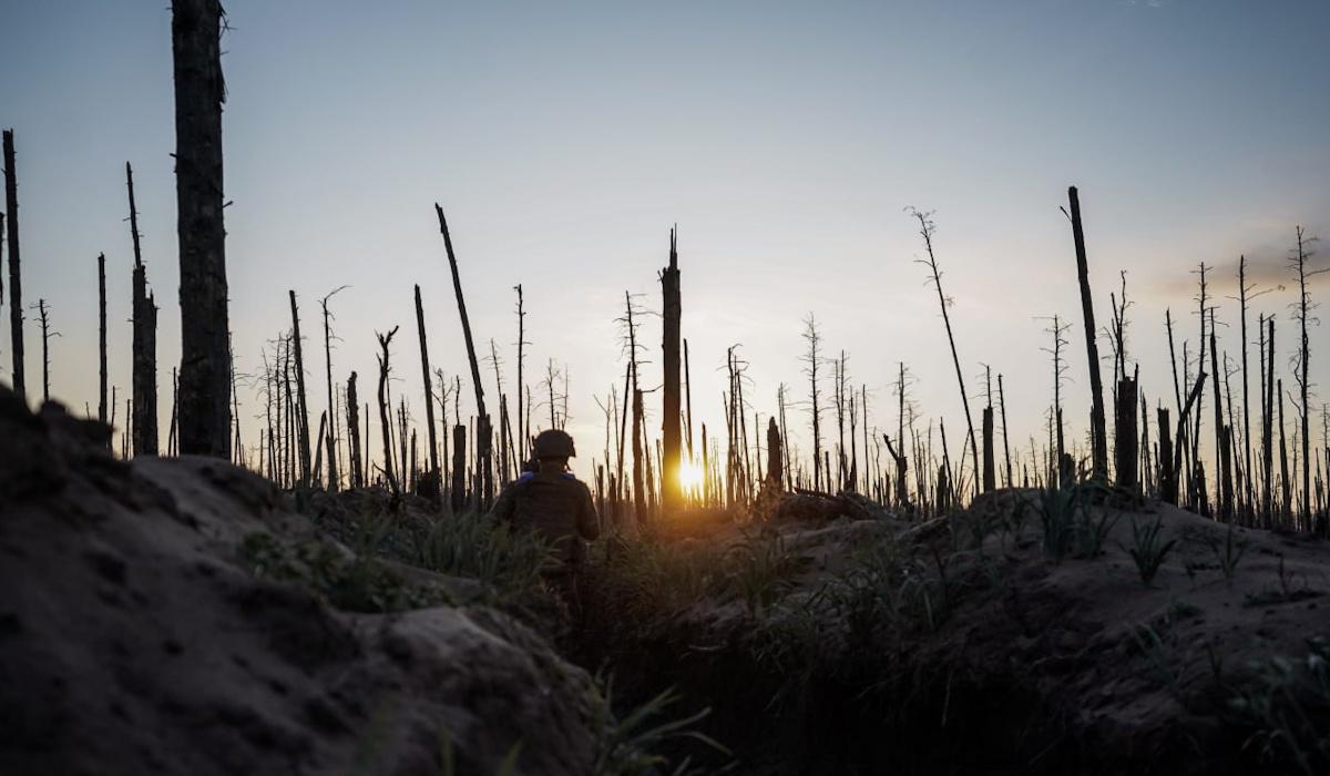 Війна знищила унікальний ліс на Донбасі, і відродити його вже неможливо, - науковець