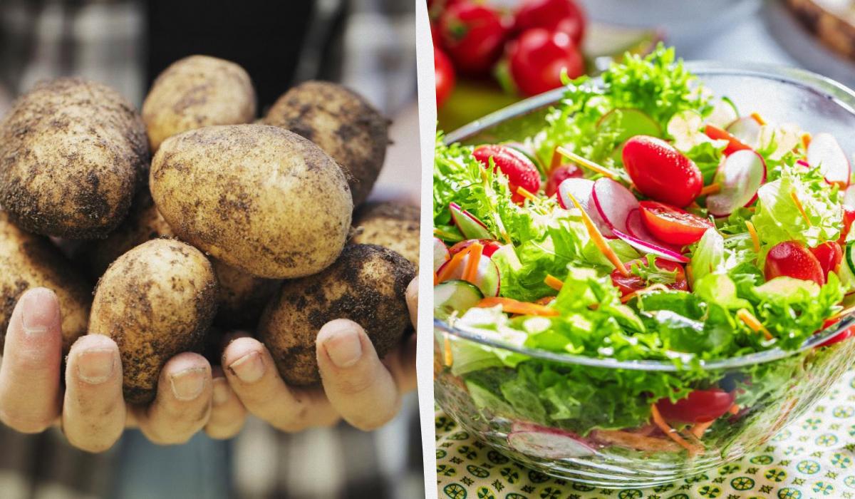 Lista nera del congelatore: 10 alimenti che non dovrebbero mai essere conservati lì