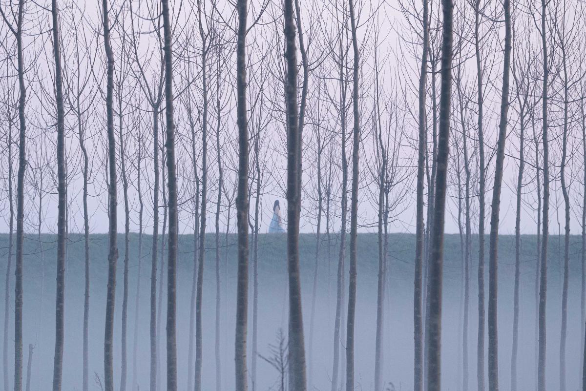 'Благодать': пять причин посмотреть новый фильм культового Паоло Соррентино