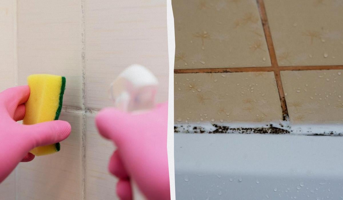 Идеальная чистота в ванной: чем отмыть плитку и швы от грибка без жесткой щетки