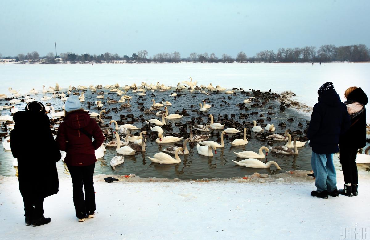 22 января погода в Киеве начнет меняться