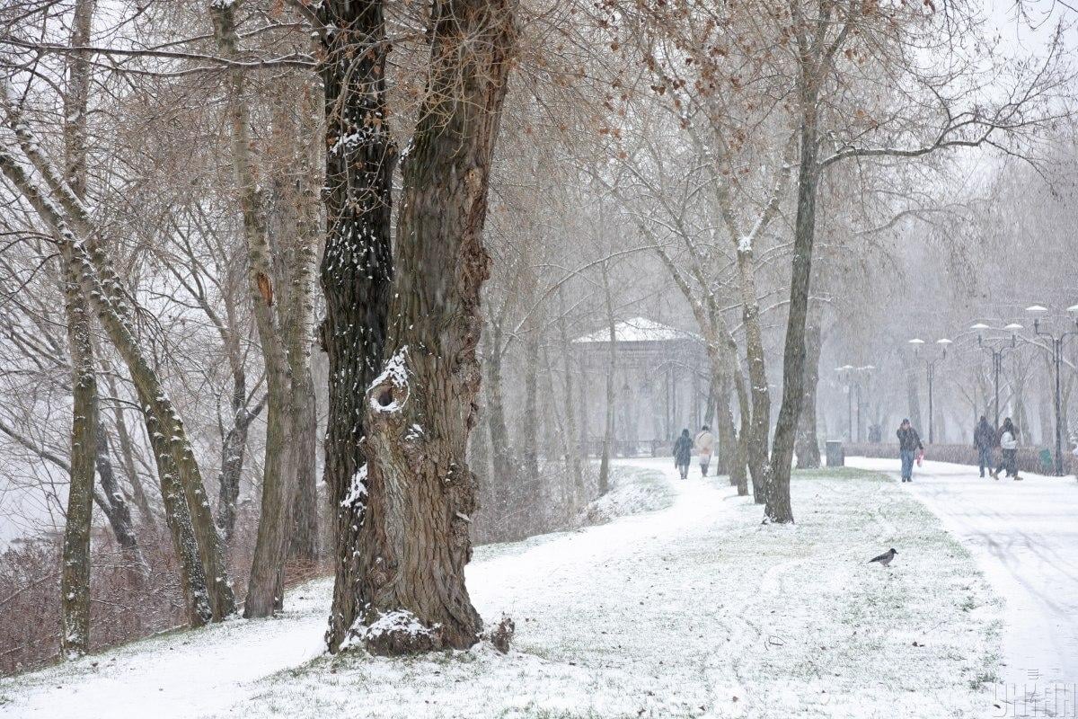 23 января в Киеве заснежит 23 января в Киеве заснежит