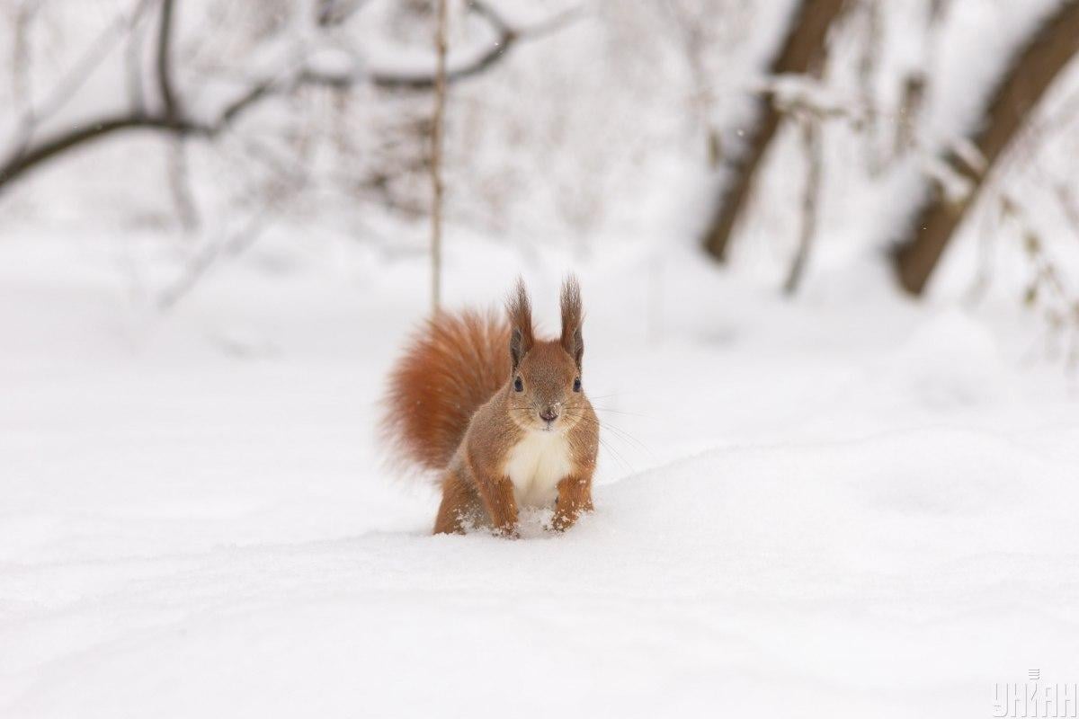 Приметы на сегодня 
