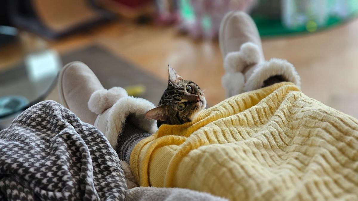 Кінець потепління: 30 січня до України повернуться морози