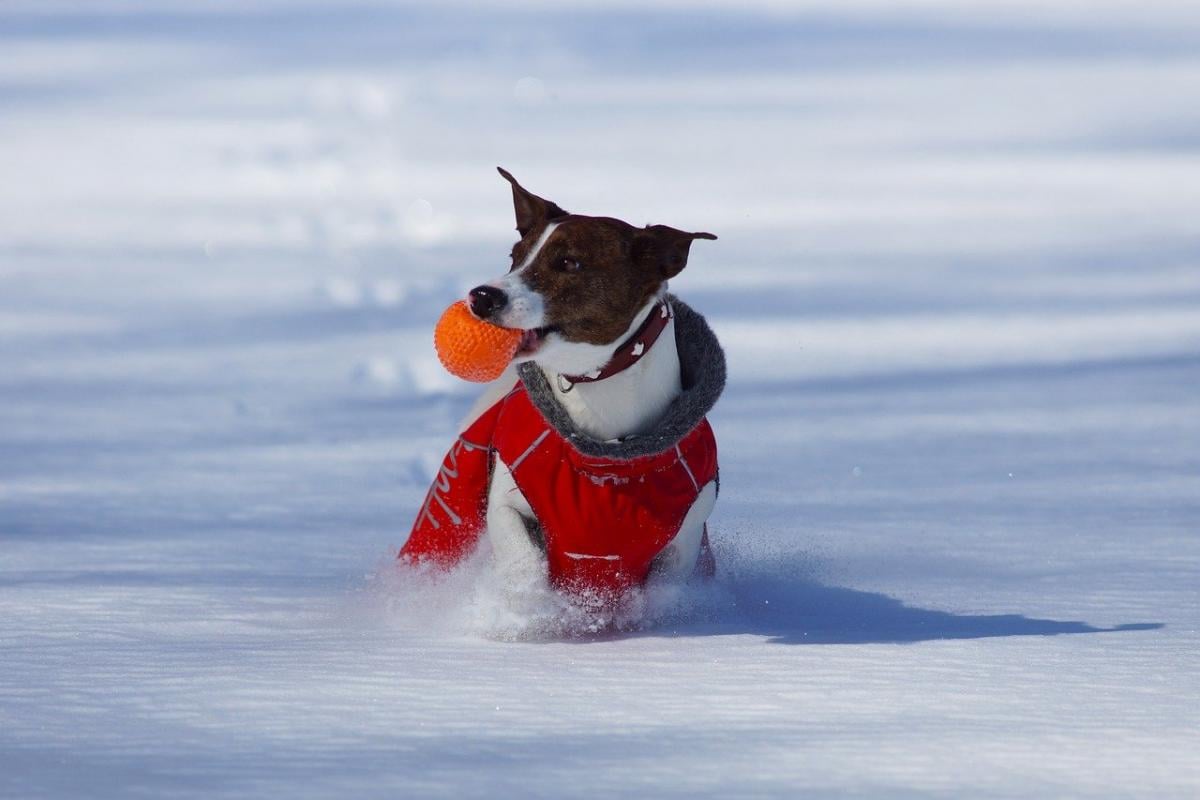 Антициклон Felix змінить погоду в Україні: синоптикиня Діденко розкрила деталі