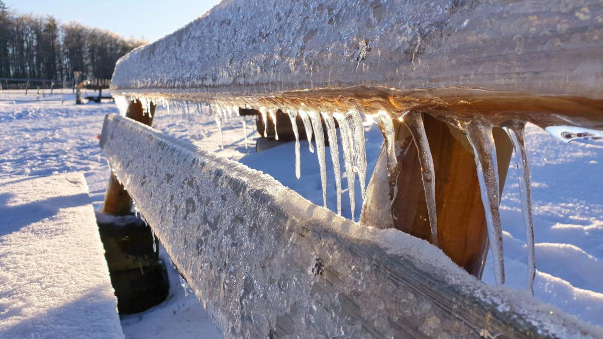 Катастрофический ледяной шторм надвигается на США: под угрозой около 100 миллионов человек