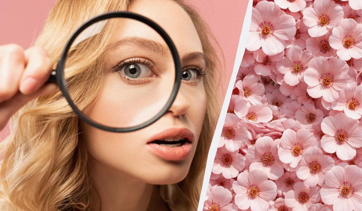 Только 1% людей могут найти кролика за 11 секунд: удивительно сложная оптическая иллюзия