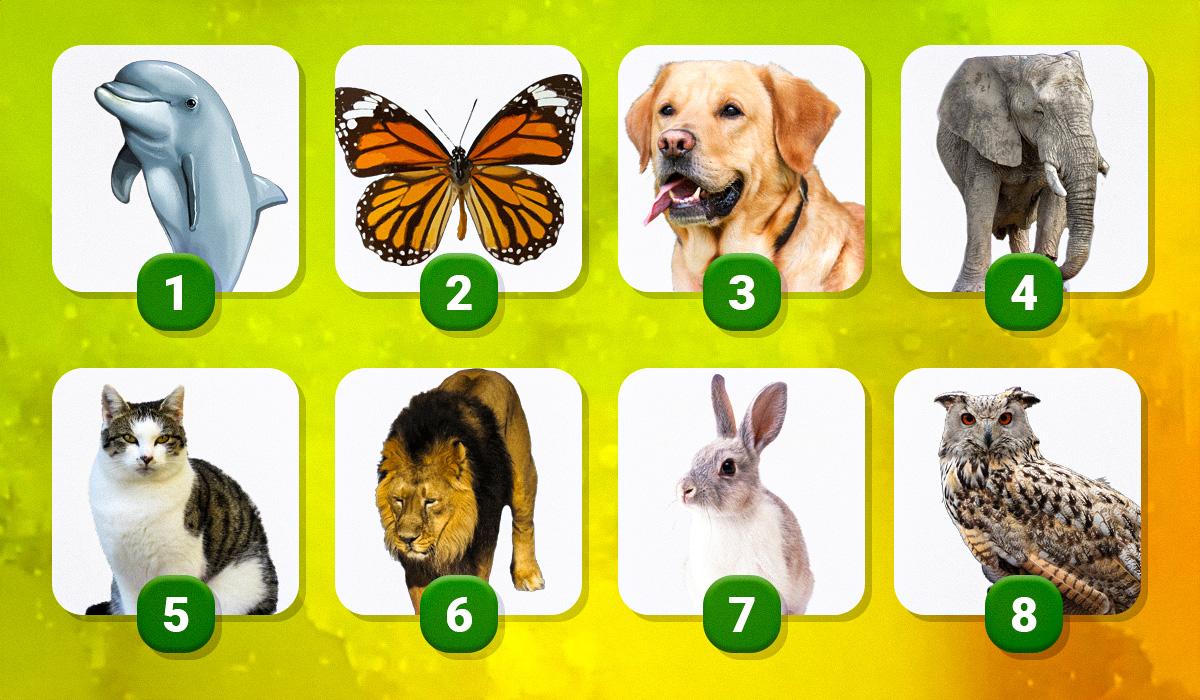 Scopri il tuo animale totemico con un nuovo test psicologico online