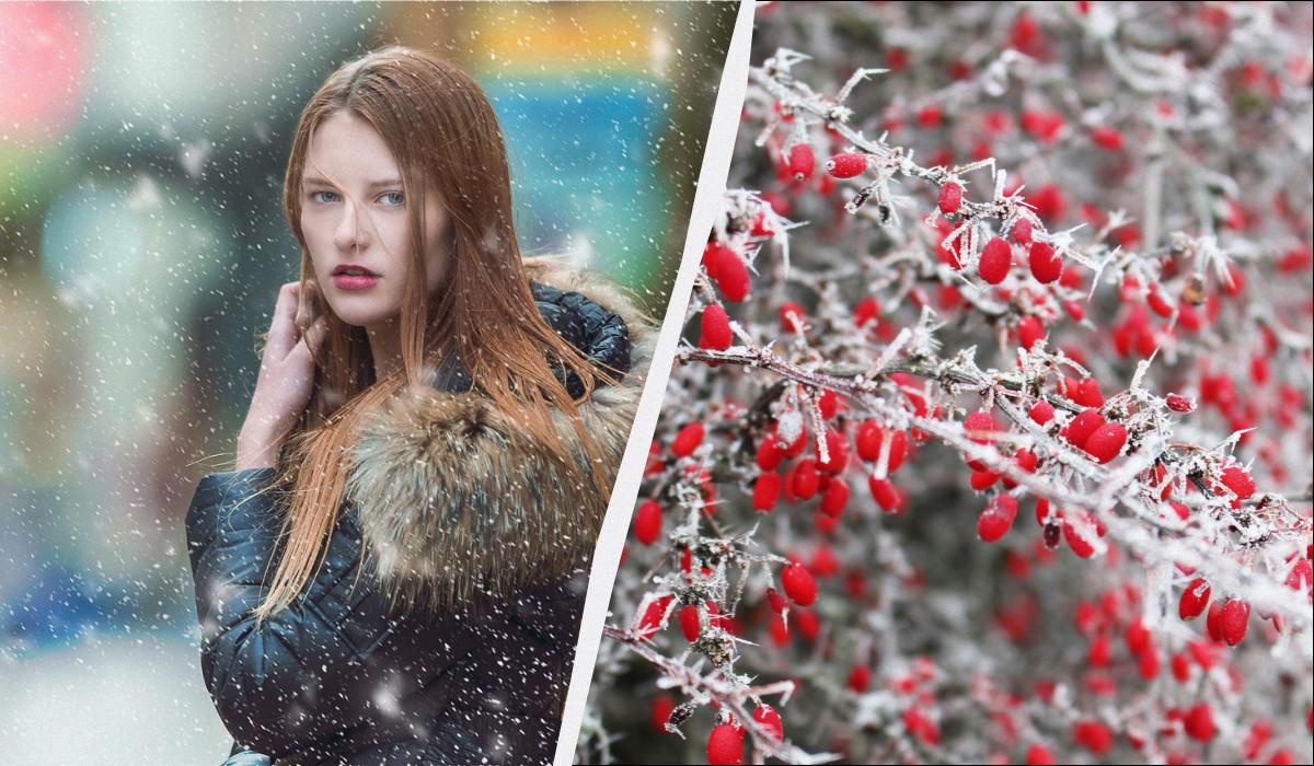 какой сегодня праздник какой сегодня праздник