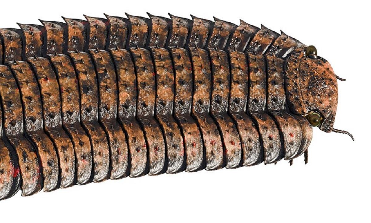 Arthropleura: il più grande millepiedi mai scoperto