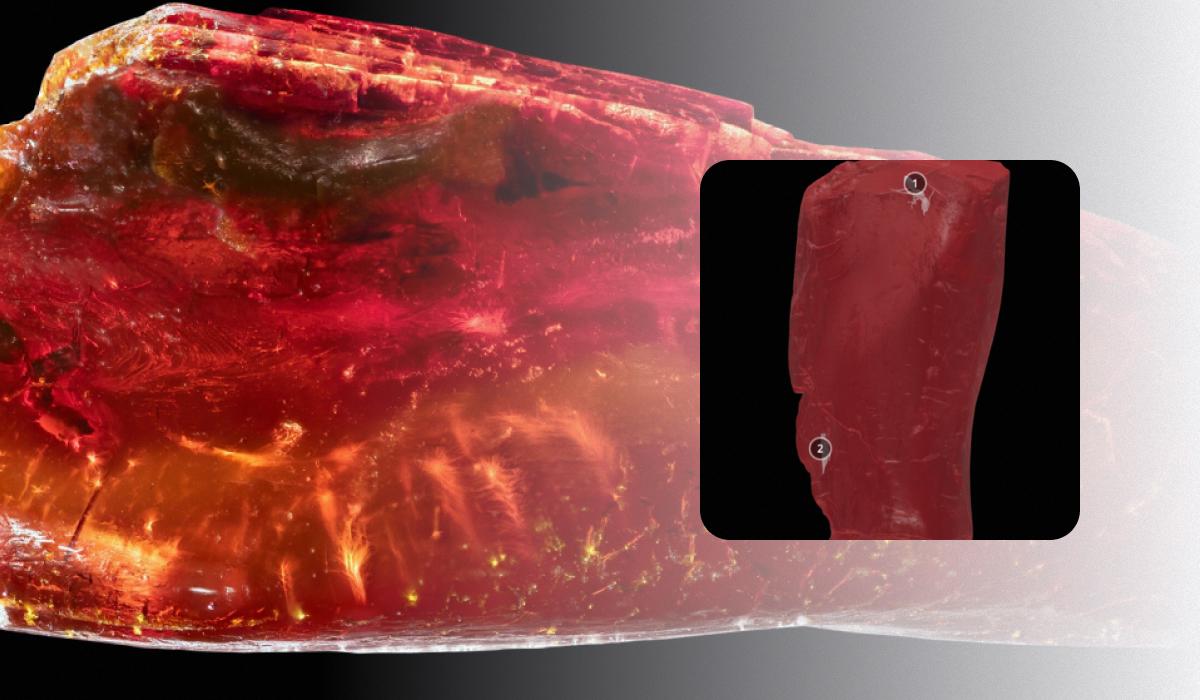 Биологи изучили хорошо сохранившегося муравья в янтаре Гете: что узнали