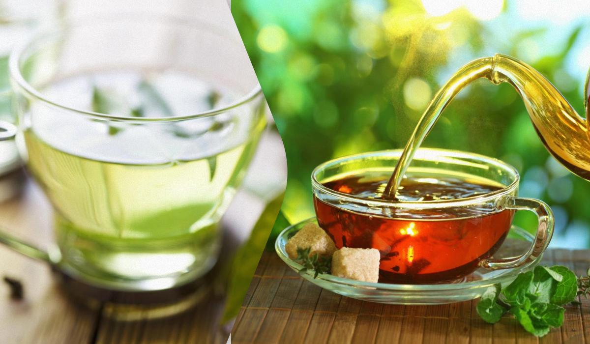 Какой чай полезнее - черный или зеленый: что говорят эксперты Какой чай полезнее - черный или зеленый: что говорят эксперты