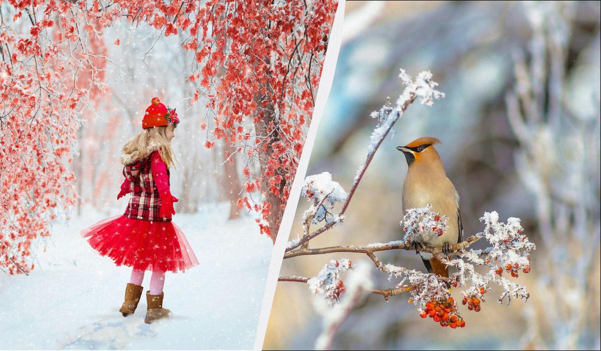 какой сегодня праздник какой сегодня праздник