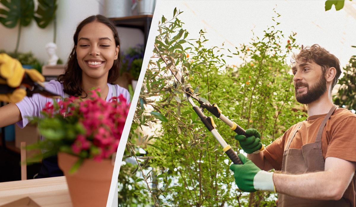 Какие растения нельзя обрезать на зиму Какие растения нельзя обрезать на зиму