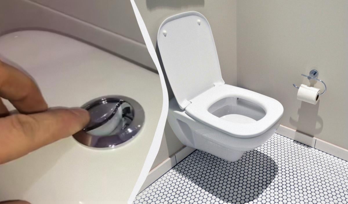 Для чего 2 кнопки на унитазе Для чего 2 кнопки на унитазе