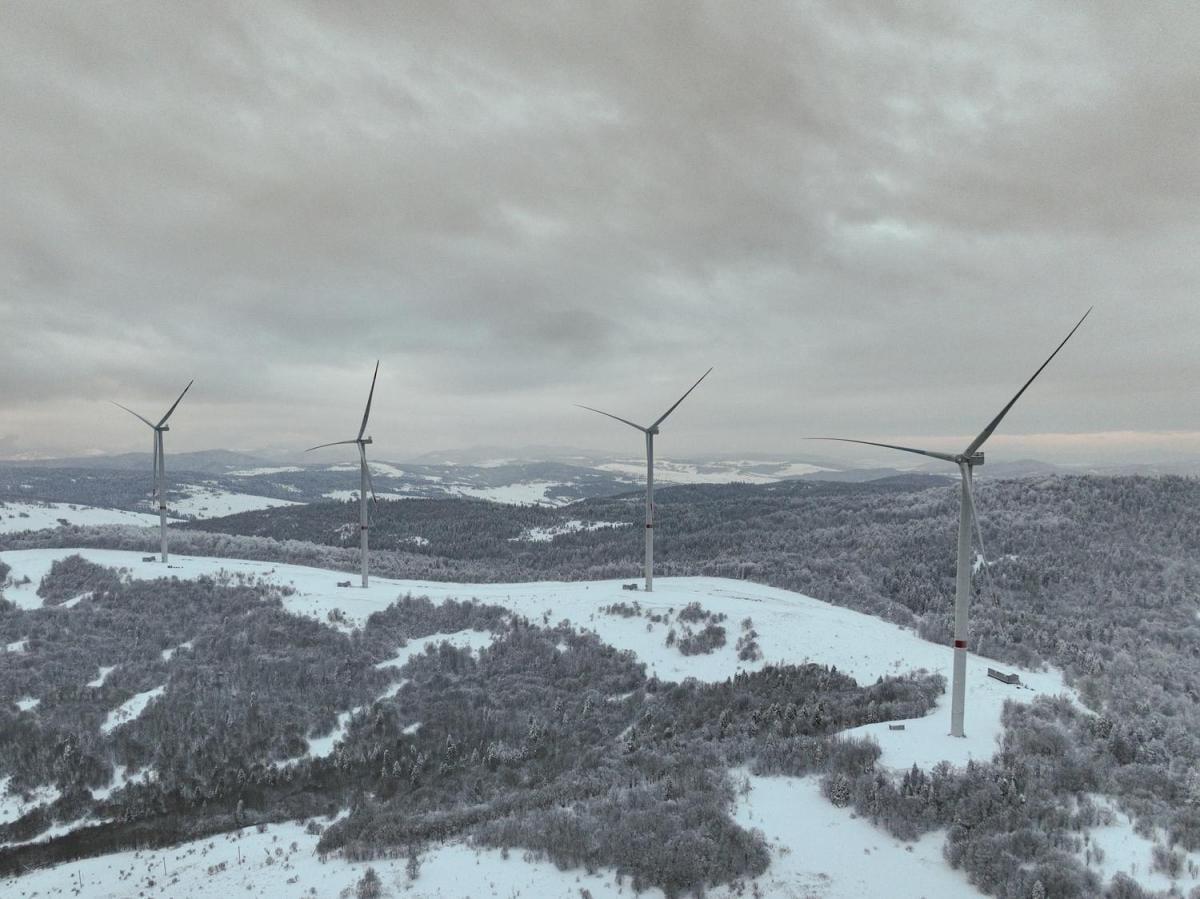 Амбітні плани на майбутнє: як громада на Закарпатті використовує співпрацю з інвестором для розвитку