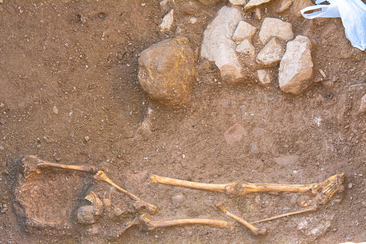 Человечество практически вымерло 900 тысяч лет назад: биолог объяснил, что произошло Человечество практически вымерло 900 тысяч лет назад: биолог объяснил, что произошло