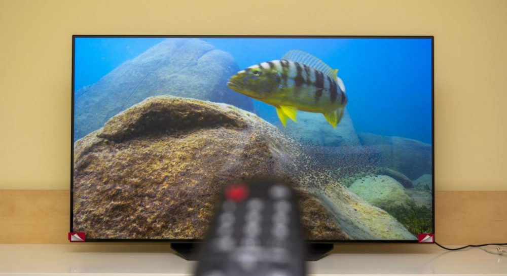 Скільки живе OLED екран