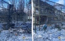 Под Харьковом россияне попали КАБом в зоопарк: ранена женщина, погибли животные (видео)