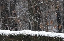 3 січня частину України накриють дощі та мокрий сніг