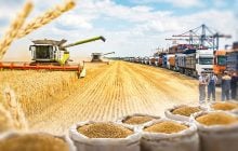 Грошей від експорту на всіх (не) вистачить. Яким був 2025 рік для української аграрки, та що готує 2026-й