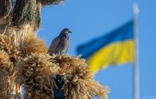 2 марта порадует киевлян весенним теплом и солнцем