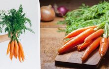 Только один способ поможет сохранить морковь свежей до 10 дней: в чем он заключается