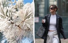 Чем заменить футболку этой зимой, чтобы образ выглядел дороже: ответ есть