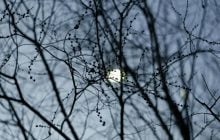 Як планувати січень 2026: місячний календар підкаже ваші вдалі дні