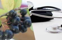 Чорне золото: цей фрукт здатен регулювати рівень цукру в крові та артеріальний тиск