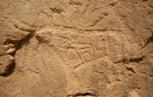 В пустыне Египта обнаружили огромные иероглифы: ученые связали их с космосом