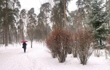 Антициклон разрушается: синоптик сообщила, как изменится погода в Украине 22 января