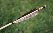 Археологи неожиданно обнаружили 60-тысячелетние наконечники стрел с ядом: что это означает