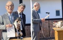 В Японії котів призначають начальниками залізничних станцій, і це приносить гроші