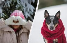 Яке свято відзначаємо 10 січня: цікаві факти та заборона для жінок