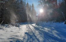 Морозы до -22° и снег: суровая зима не покинет Украину в ближайшие дни